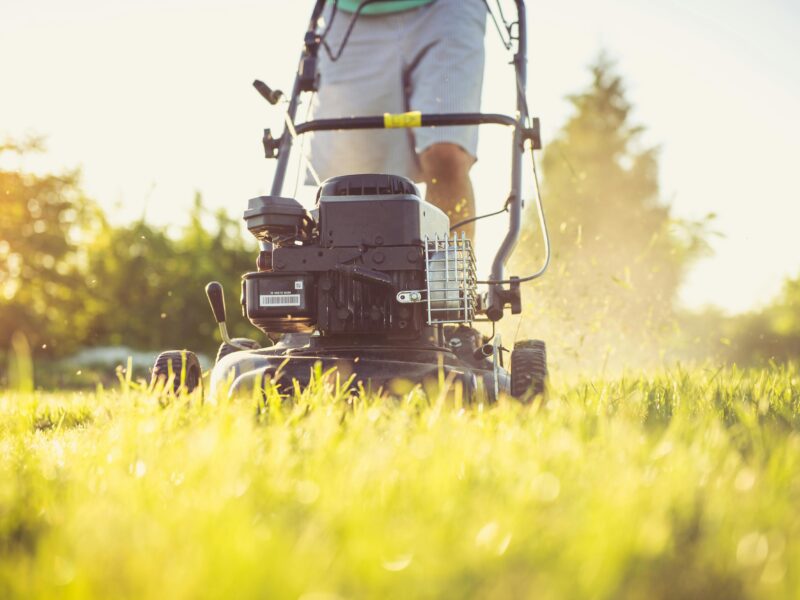 Professional landscaping and gardening